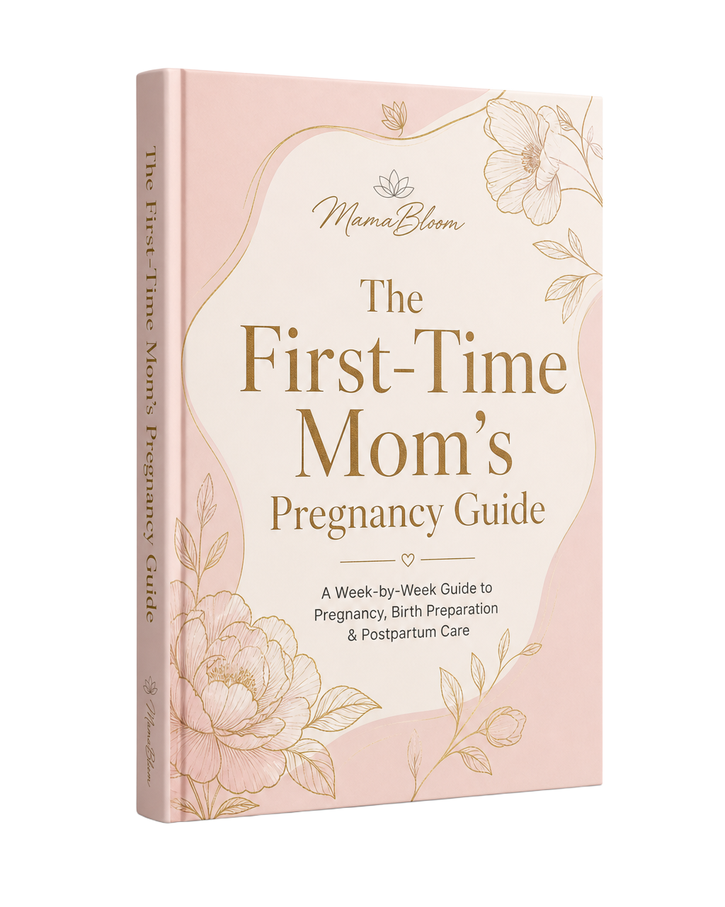 The First-Time Mom's Pregnancy Guide ebook cover